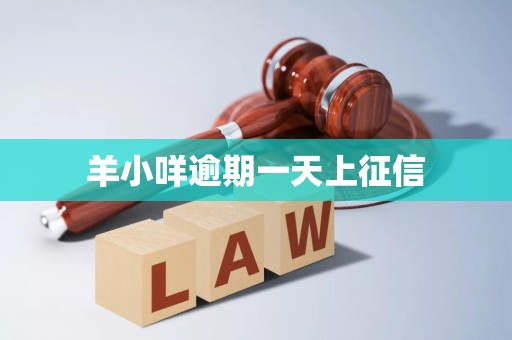 羊小咩逾期一天即上征信？解读企业征信服务的重要性